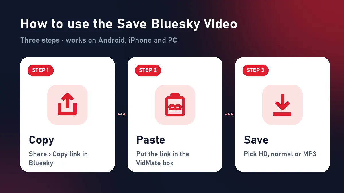 How to use the Save Bluesky Video: copy the Bluesky link, paste it and download